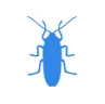Уничтожение тараканов в Красноармейске